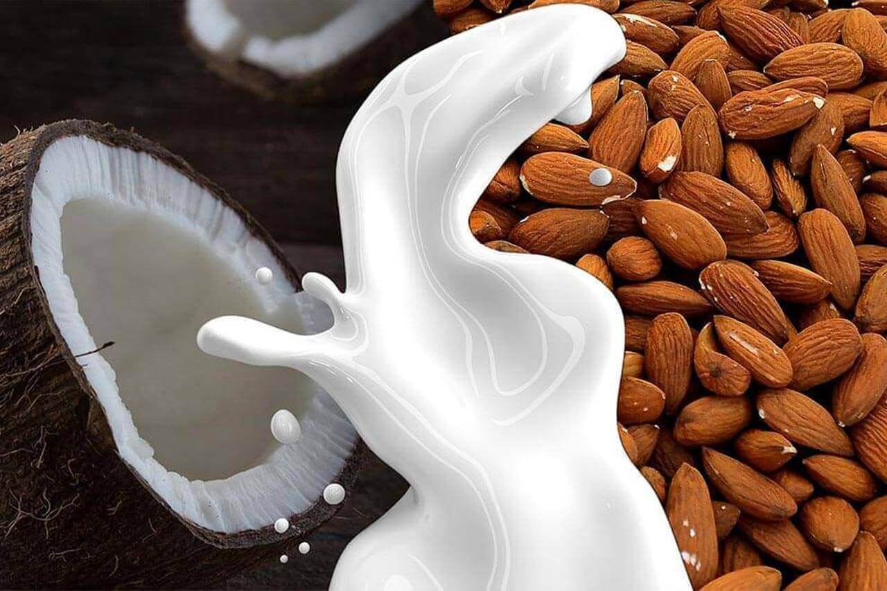 alternativas para reemplazar la leche de vaca